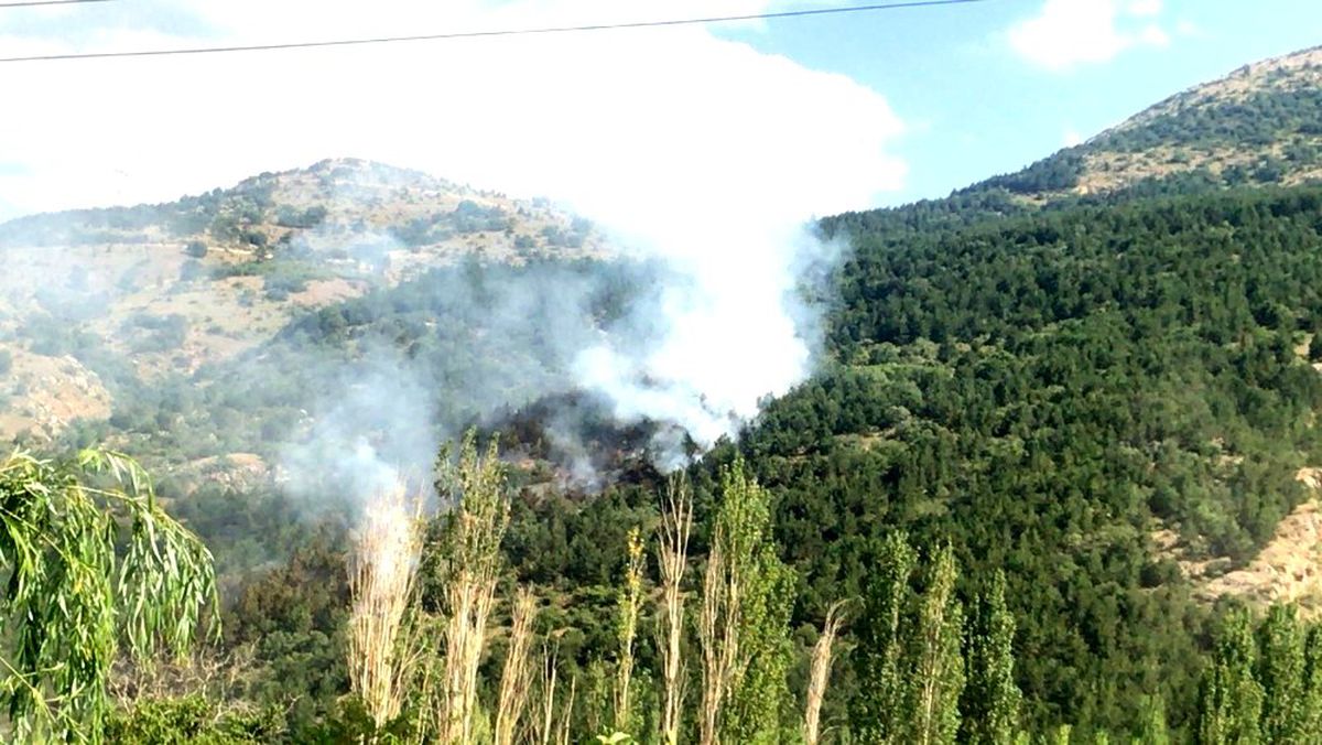 Afyonkarahisar\'da orman yangını