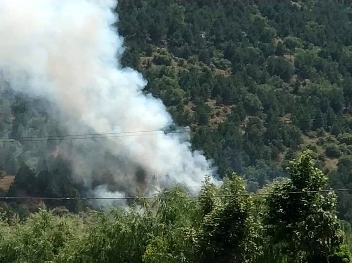 Afyonkarahisar\'ın Çay ilçesindeki orman yangını kontrol altına alındı