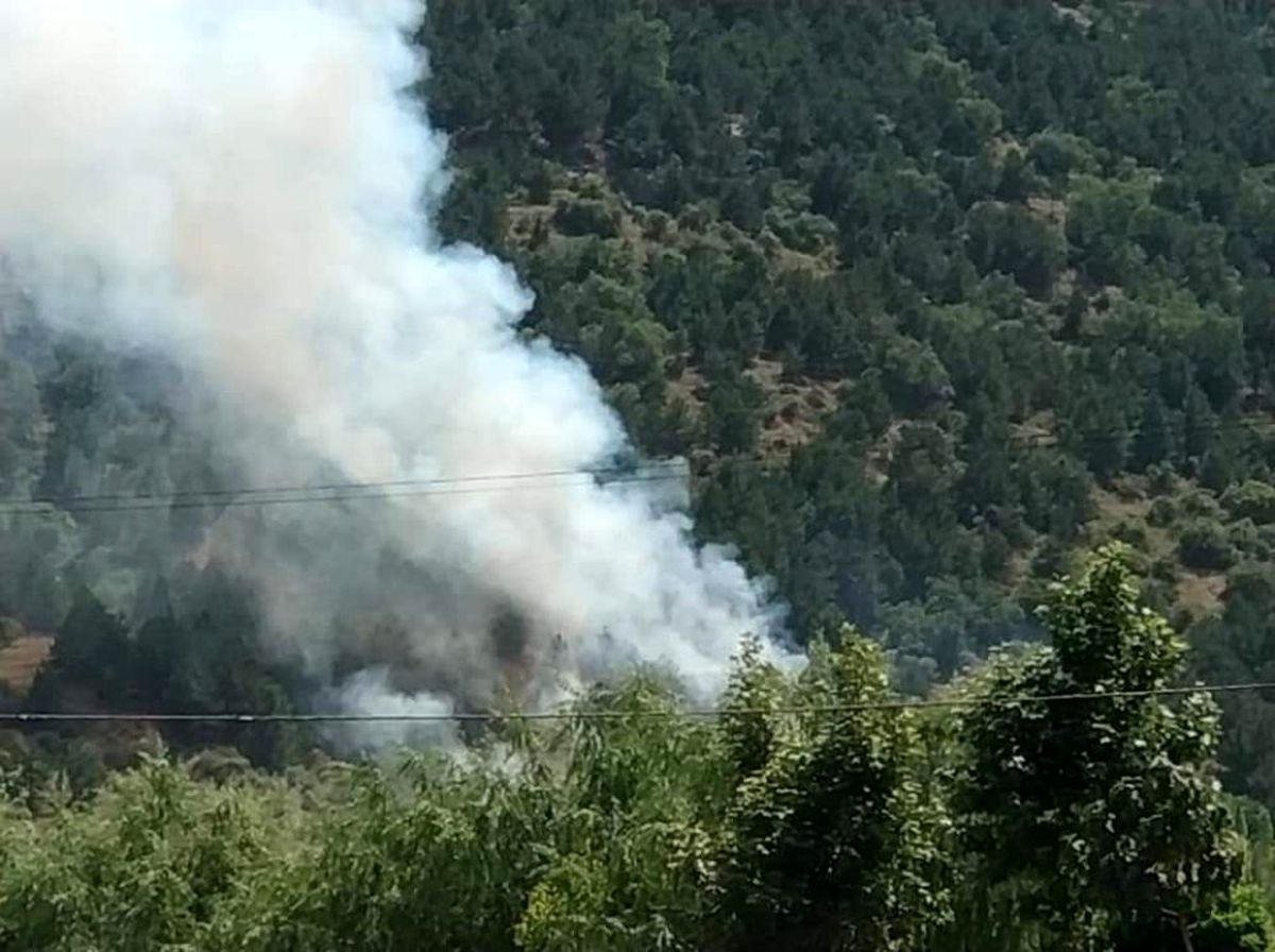 Afyonkarahisar\'ın Çay ilçesindeki orman yangını kontrol altına alındı