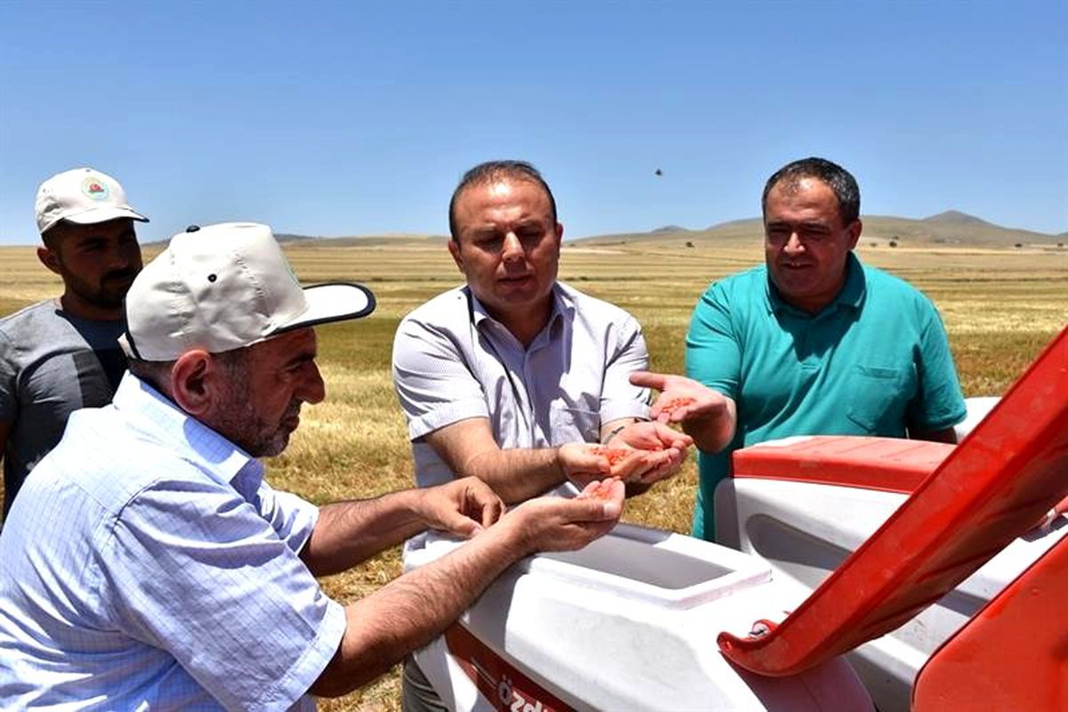 Aksaray\'da doğrudan ekim mibzeri arazide