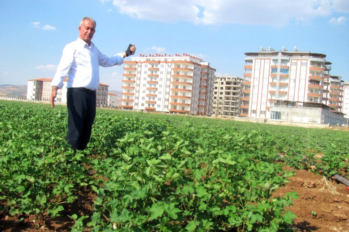 Araban Ovası\'nın verimli toprakları betonlaşıyor
