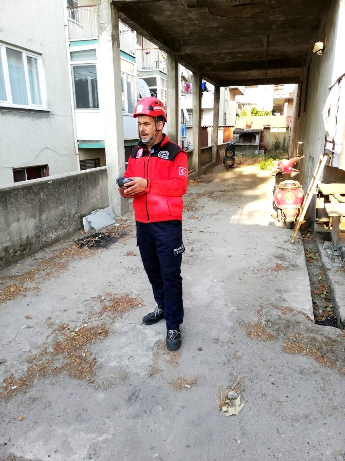 Burhaniye\'de ağaçta asılı kalan güvercini itfaiye kurtardı