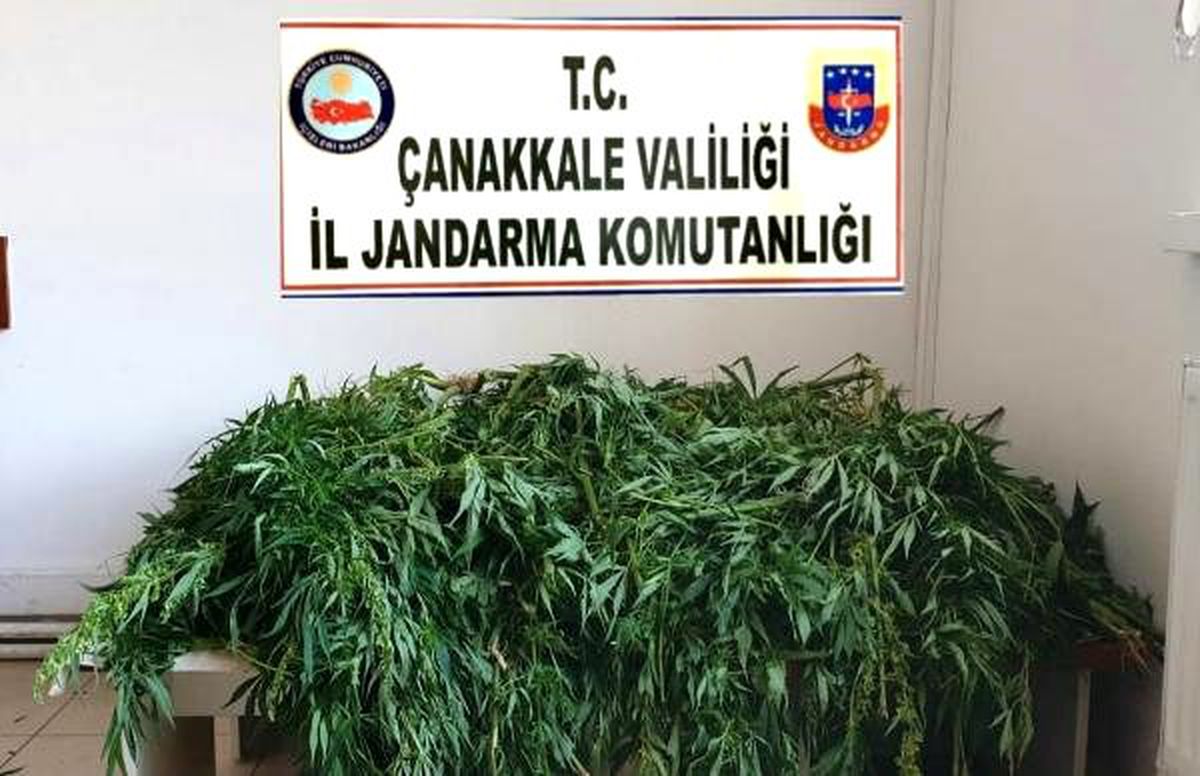 Çanakkale\'de uyuşturucu operasyonu: 1 gözaltı