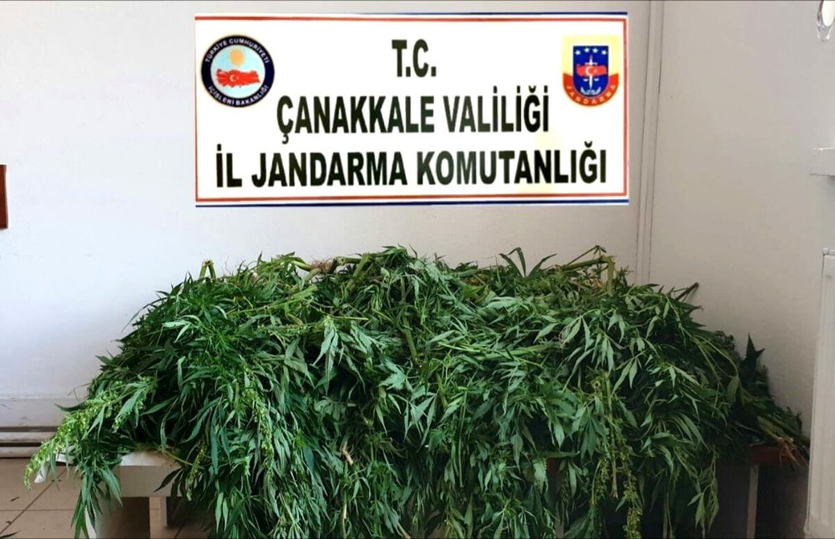 Çanakkale\'de uyuşturucu operasyonu