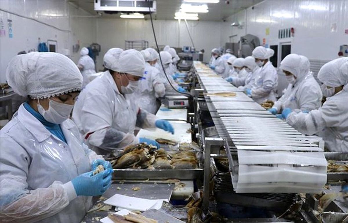 Çin ve Japonya\'ya tütsülenmiş alabalık ihracatı başladı 