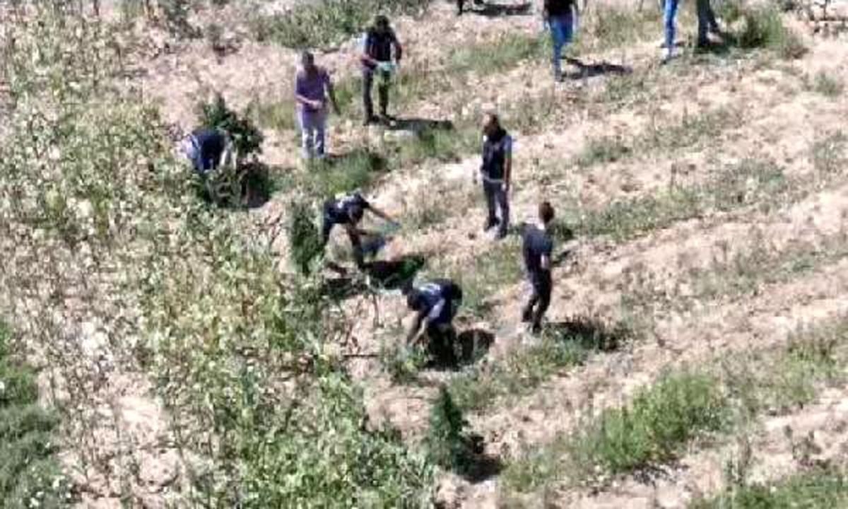 Denizli\'de 93 kilo esrara 3 gözaltı