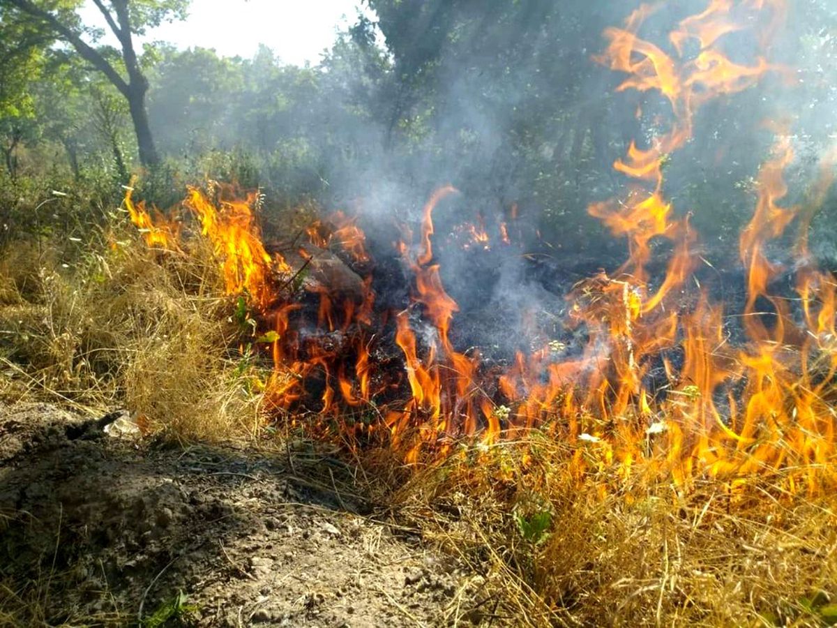 Develi\'deki tarla yangınını itfaiye ekipleri söndürdü