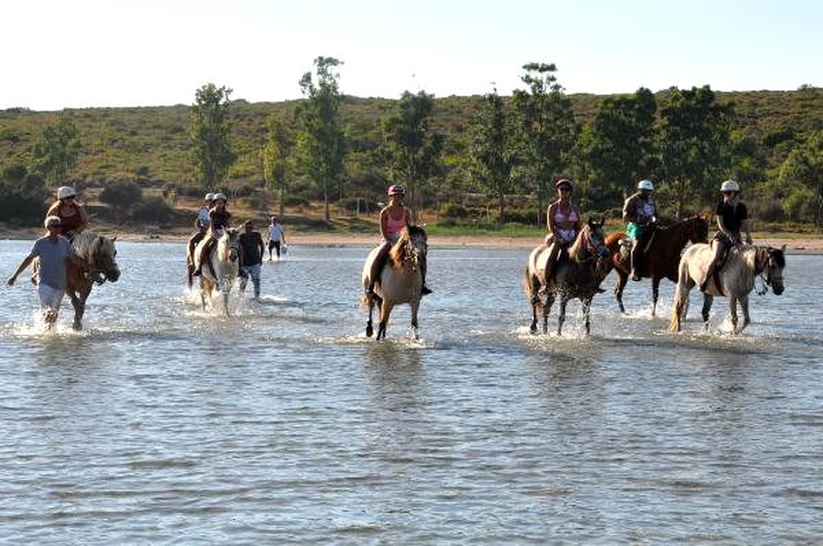 Didim\'de atlı safari turları ilgi çekiyor