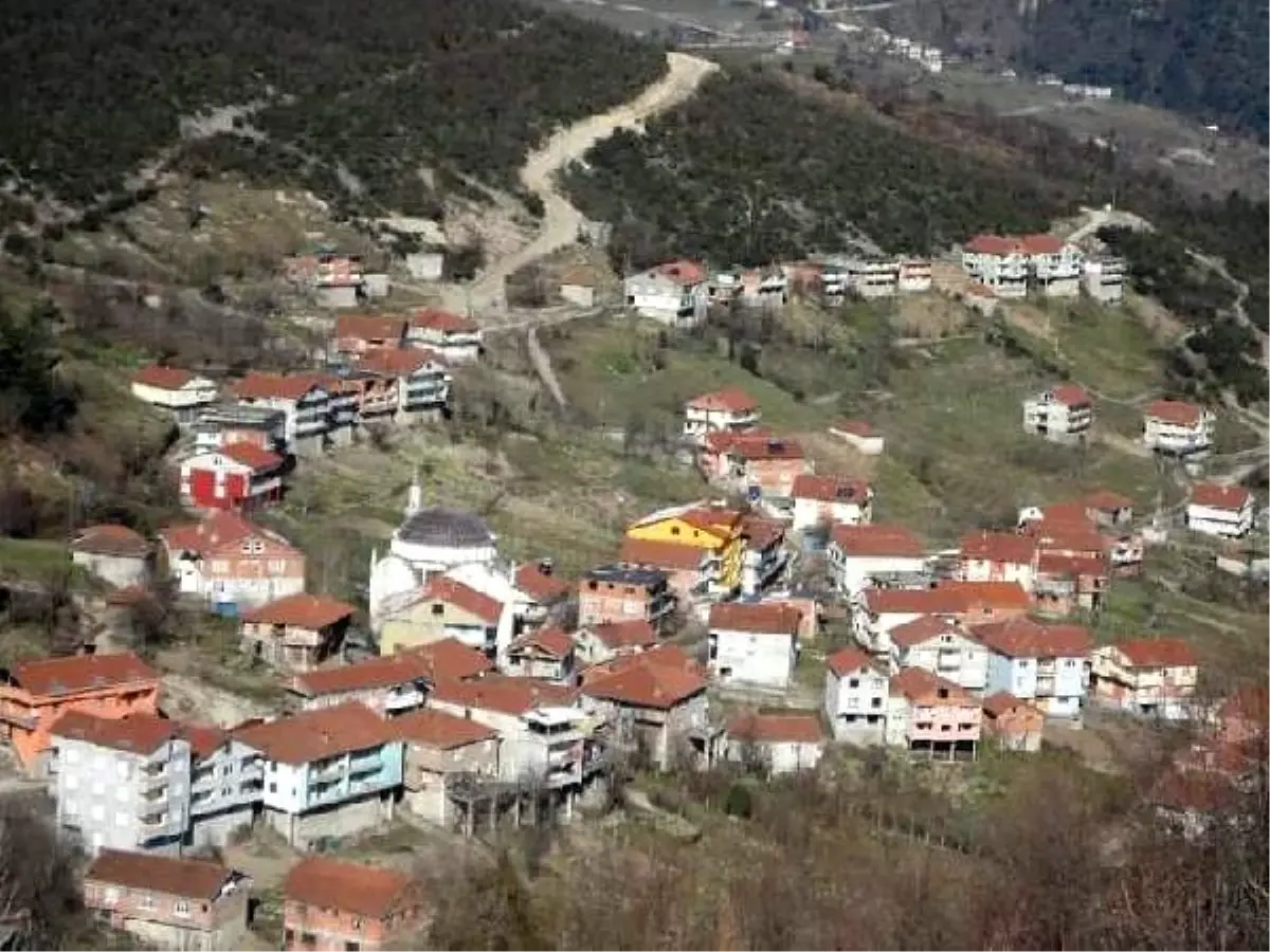 Domuz sandığı kız kardeşini kazayla vurarak öldürdü