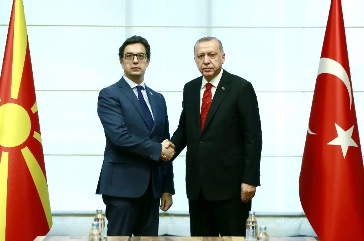 Erdoğan, Kuzey Makedonyalı mevkidaşıyla ile görüştü