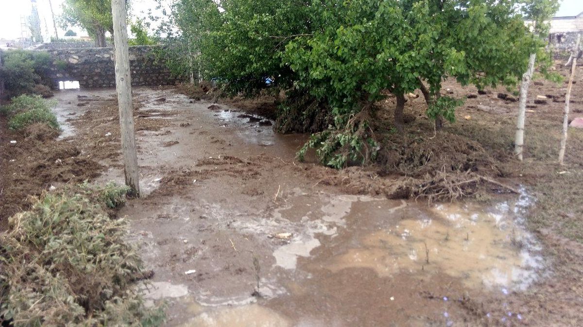Kars\'ta selden 6 ev hasar gördü