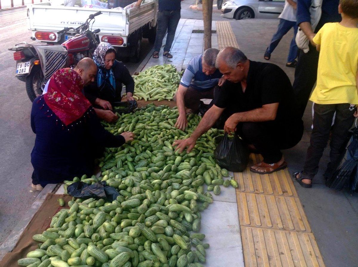 Kilis\'te kurutmalık acur sezonu açıldı