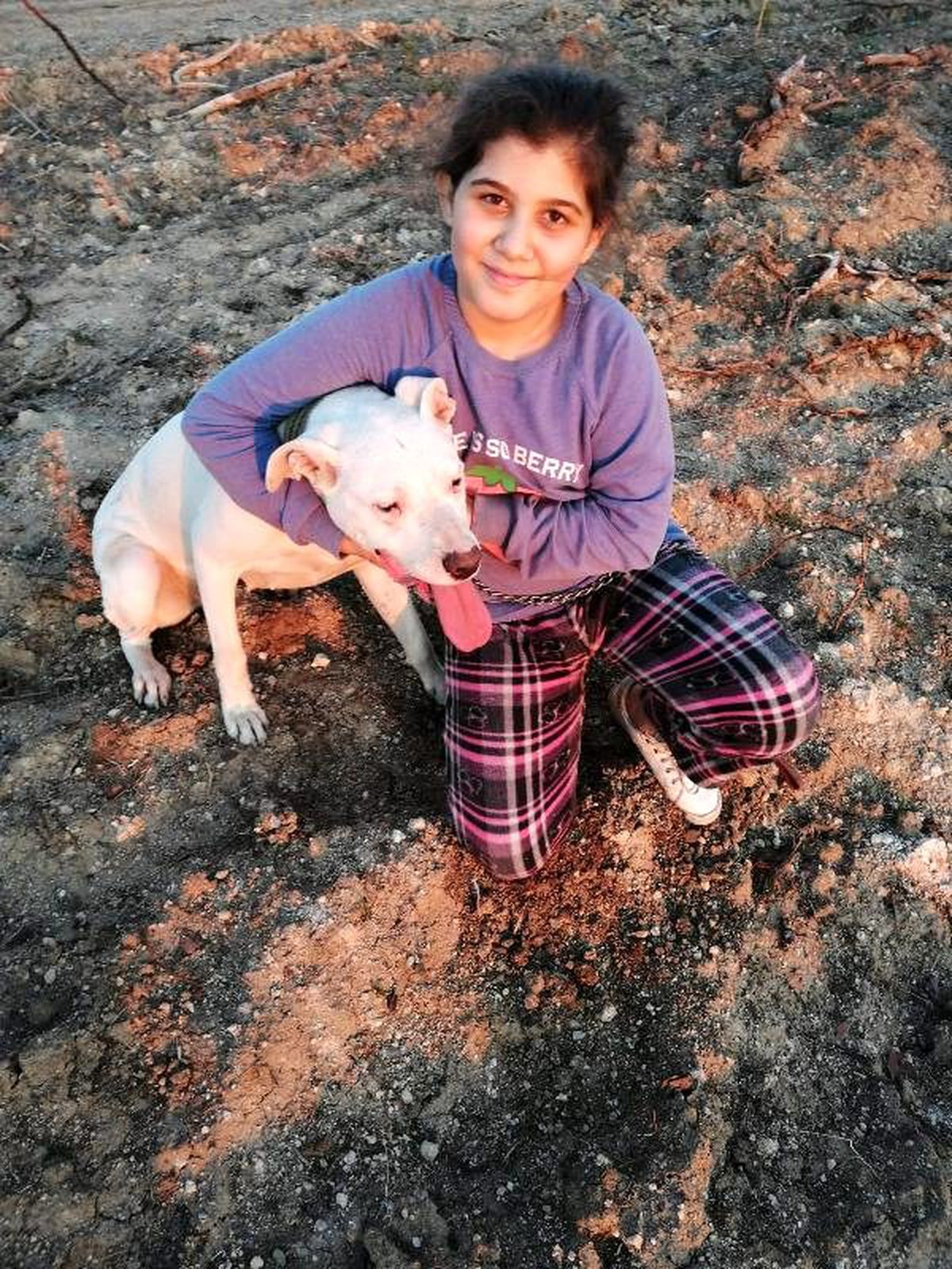 Komşusu, Sena\'nın gebe olan terapi köpeğini öldürdü