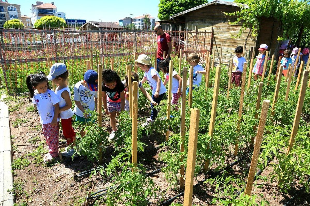 Minikler bahçedeki mahsulleri topladı