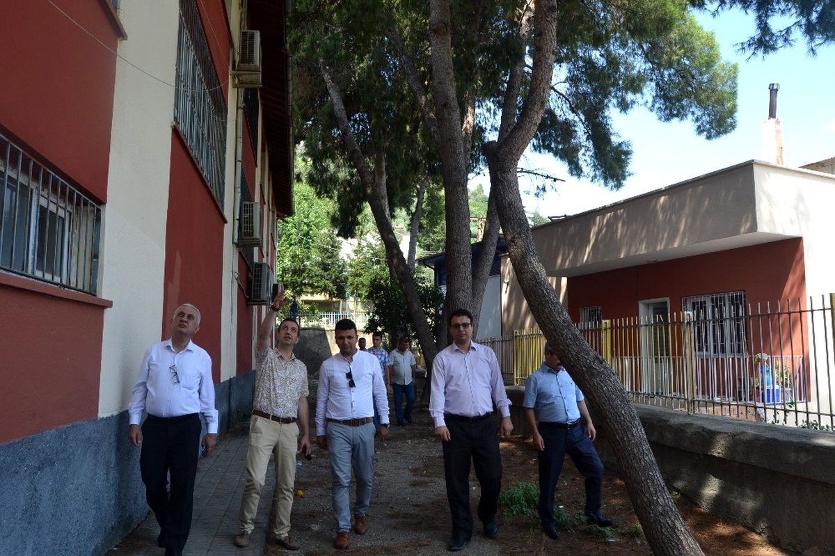 Okul bahçesindeki tehlike arz eden ağaçlar için kesim kararı