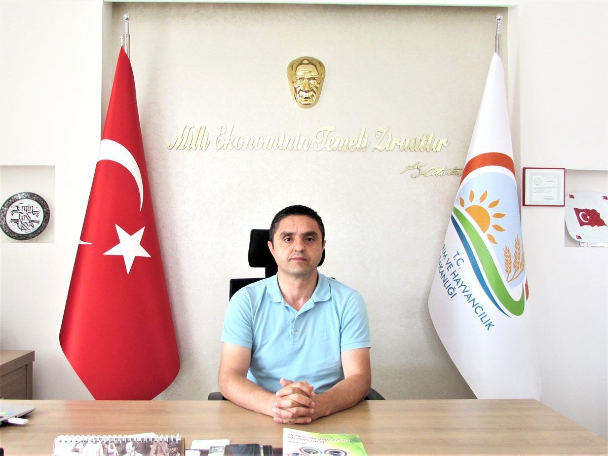 Samsun\'dan kısa kısa
