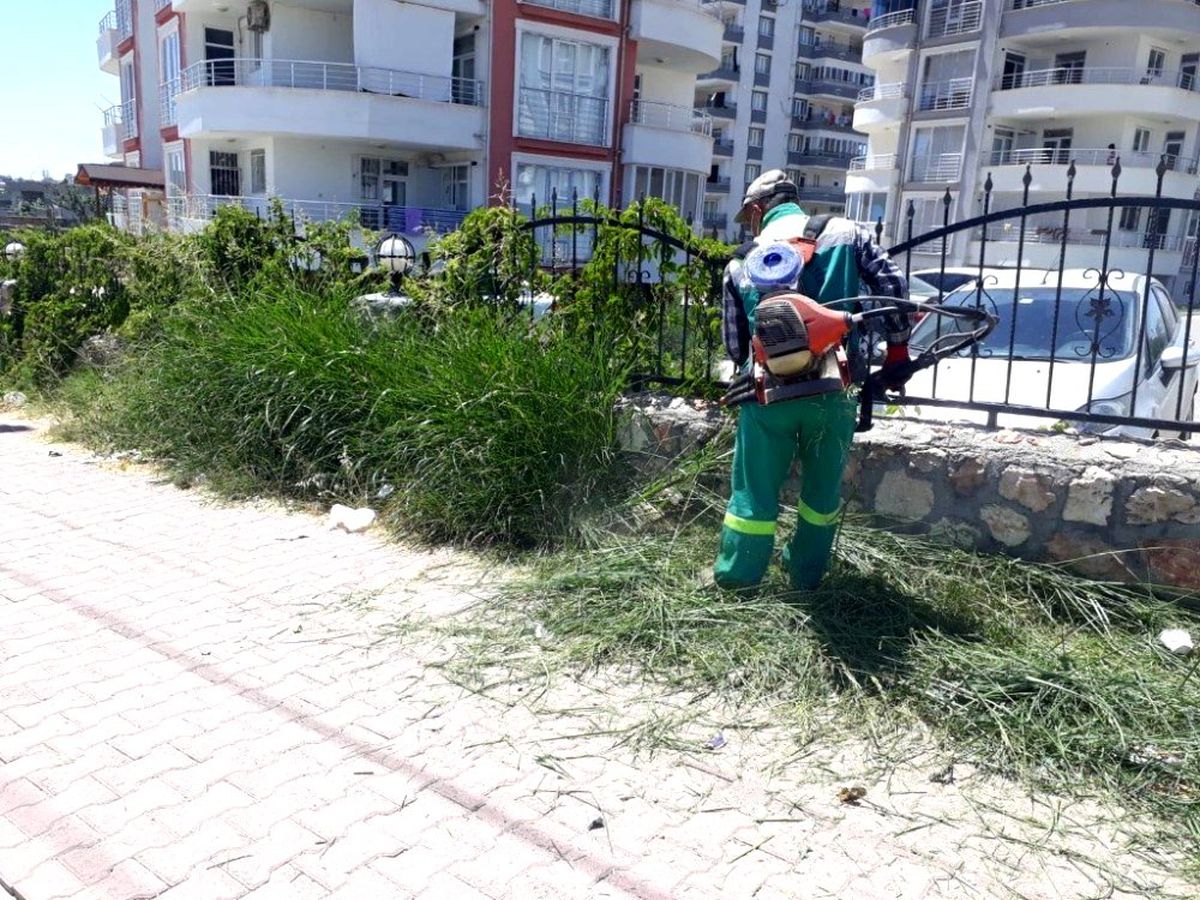 Tehlikelere davetiye çıkaran yabani otlar temizleniyor