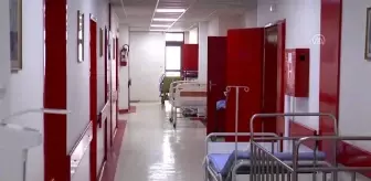 Türk doktor Kuzey Makedonya'da gönüllü eğitim veriyor