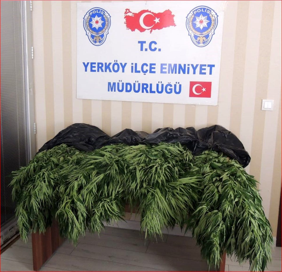 Yozgat\'ta hint keneviri operasyonu