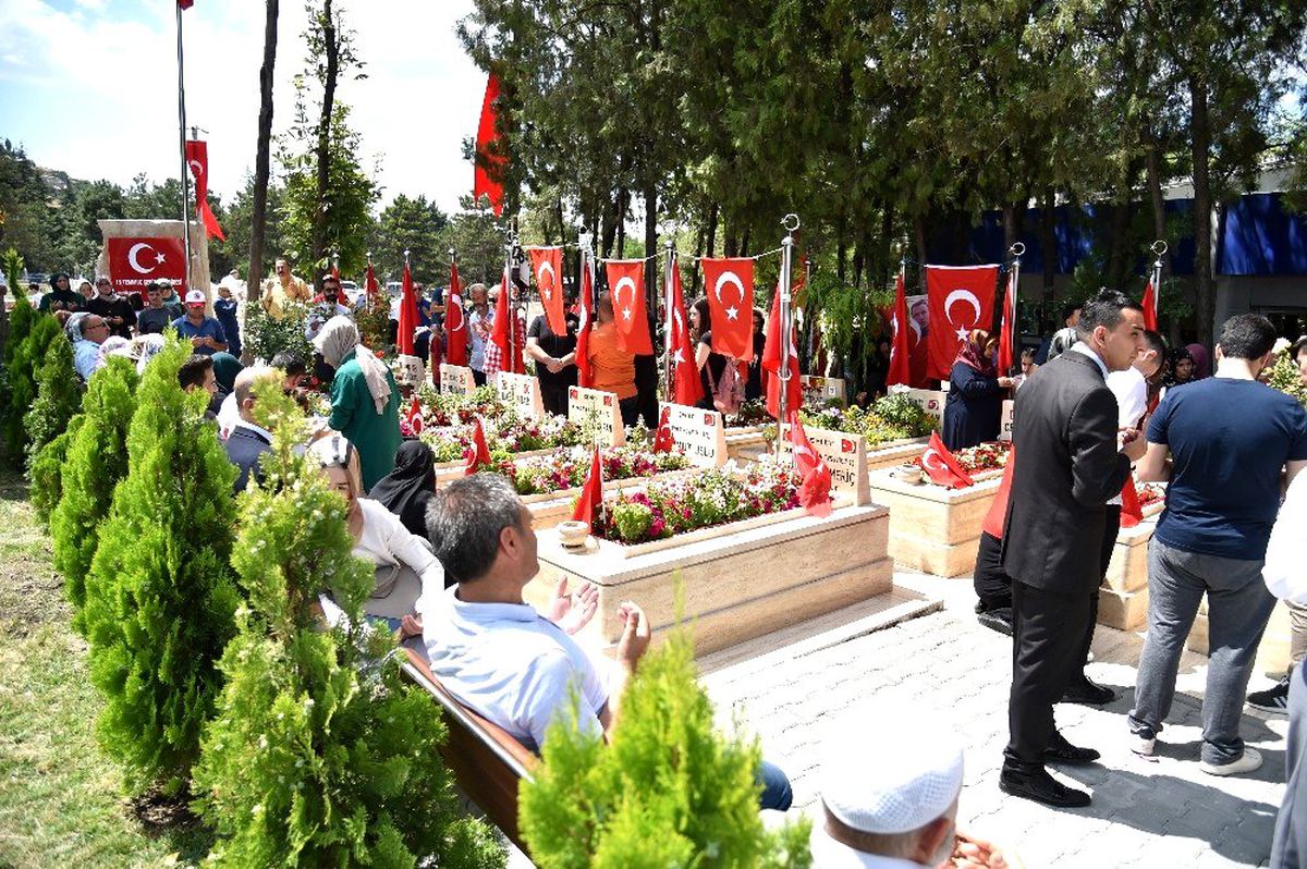 251 şehide 251 fidan