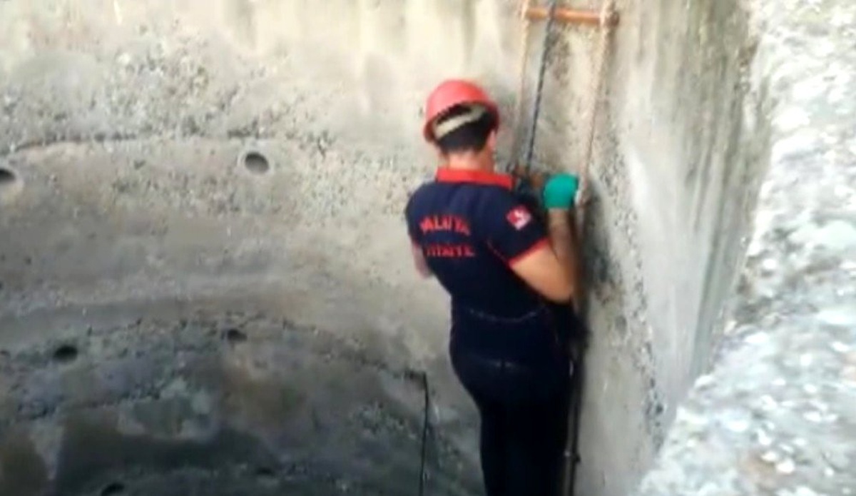 8 metrelik kuyuya düşen kediyi itfaiye ekipleri çıkarttı