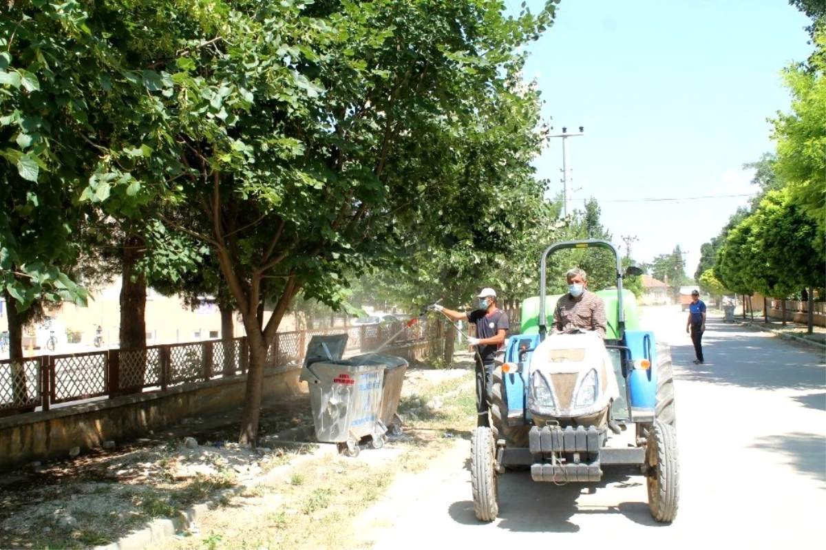 Başmakçı\'da ilaçlama çalışmaları devam ediyor