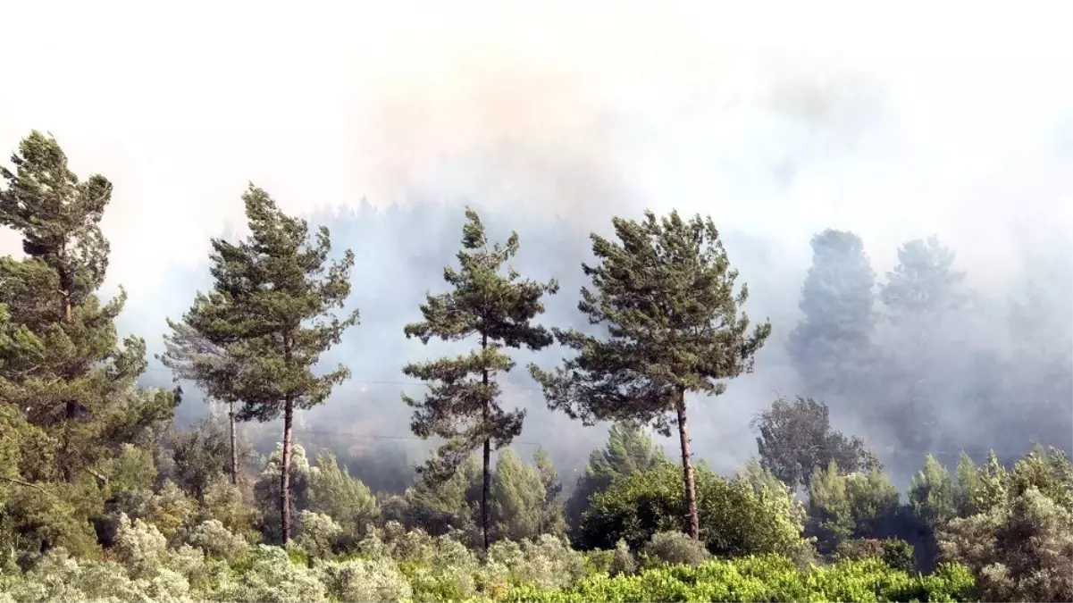 Muğla\'da alevlerin tehdit ettiği iki köy boşaltıldı