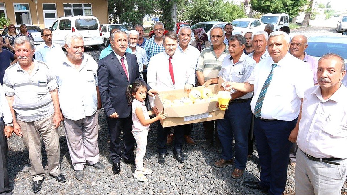 Osmaniye\'de turunçgil üreticilerine Akdeniz meyve sineği tuzağı dağıtıldı