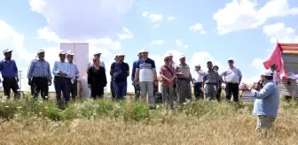 Yeni buğday çeşitleri 'Mesut' ve 'Reis' için tarla günü düzenlendi