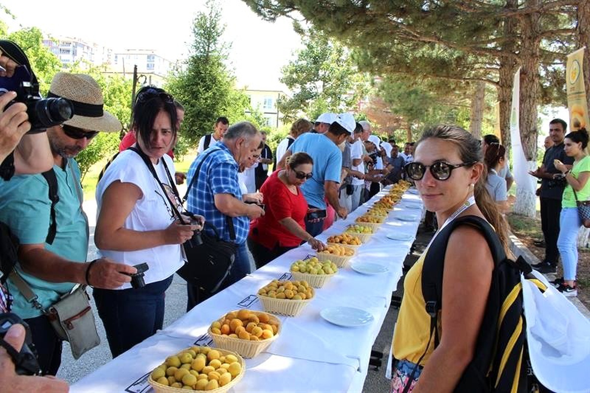 22 ülke akademisyeninden Kayısı Araştırma Enstitüsüne ziyaret