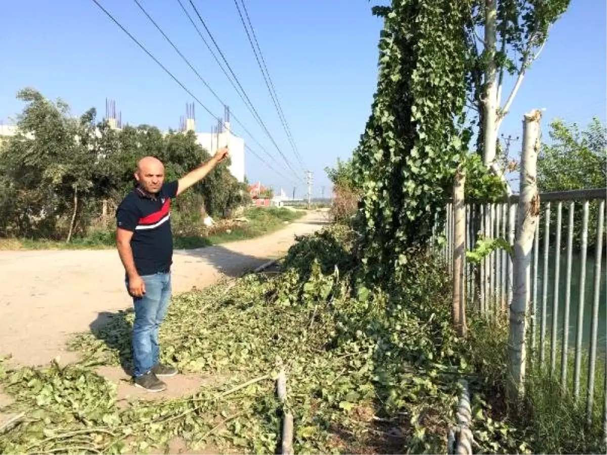 Ağaç budarken akıma kapılıp öldü