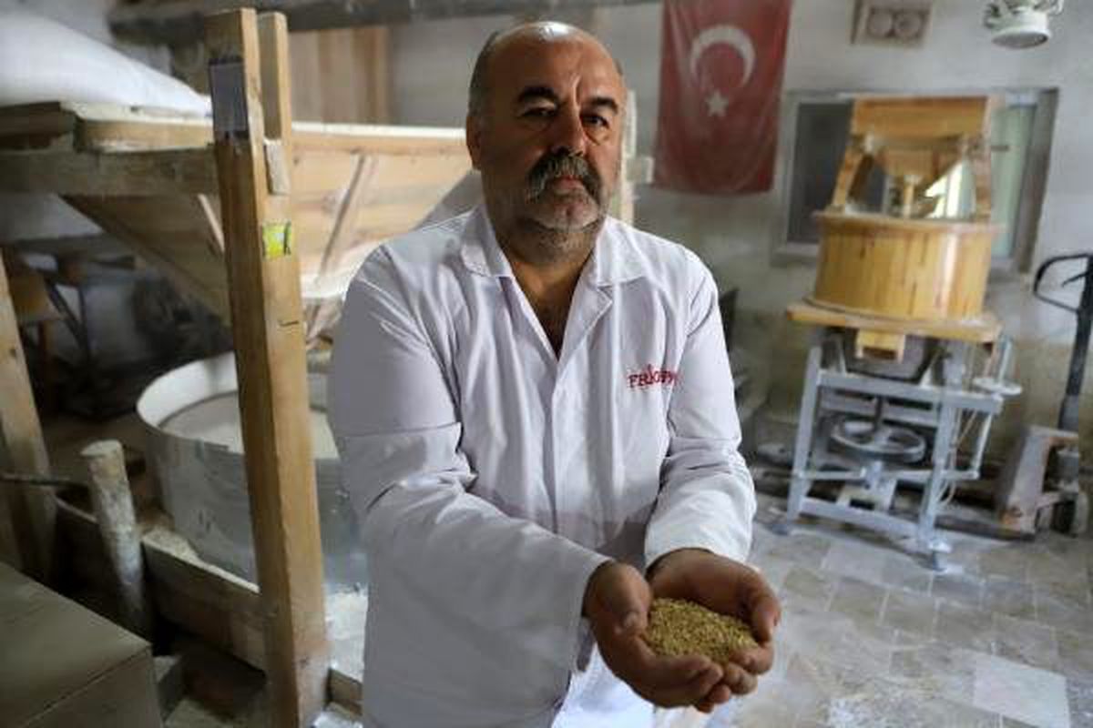 Ata tohumlarının buğdayından ekmek yapıp, internetten satıyor
