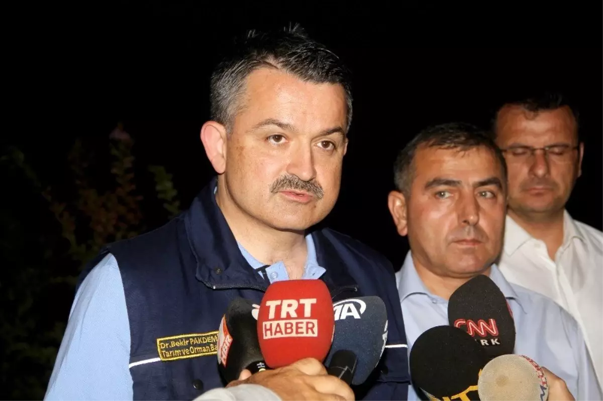 Bakan Pakdemirli: "Yangında mahsur kalan 5 personelin sağlık durumu iyi"