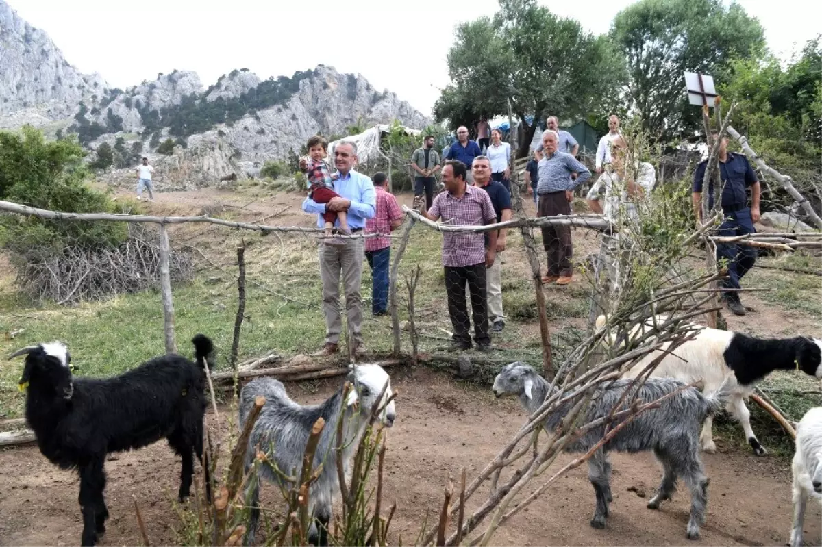 Başkan Esen\'den hayvancılığa destek sözü