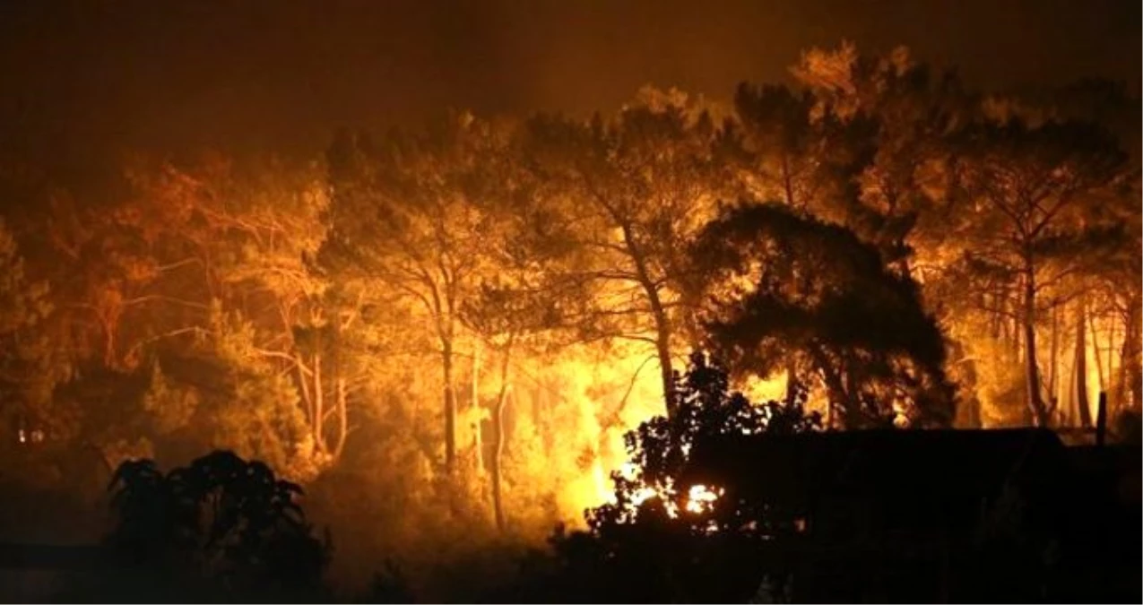 Muğla\'daki orman yangınının görüntüleri