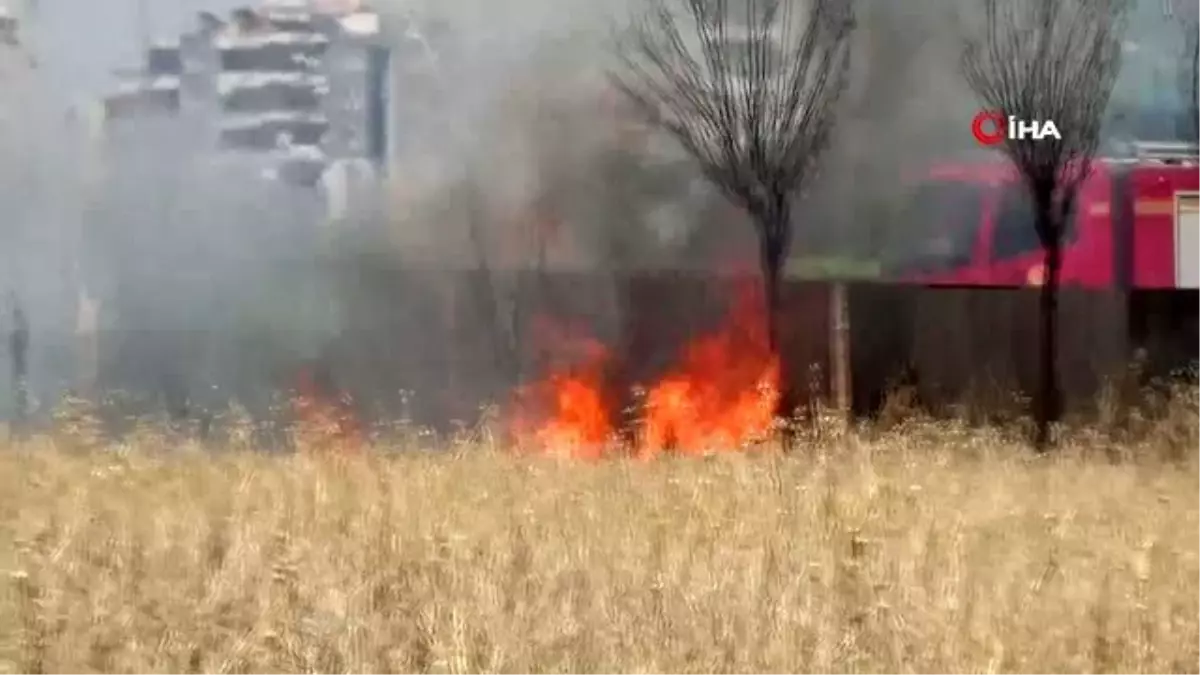 Diyarbakır\'da anız yangınları mücadele devam ediyor