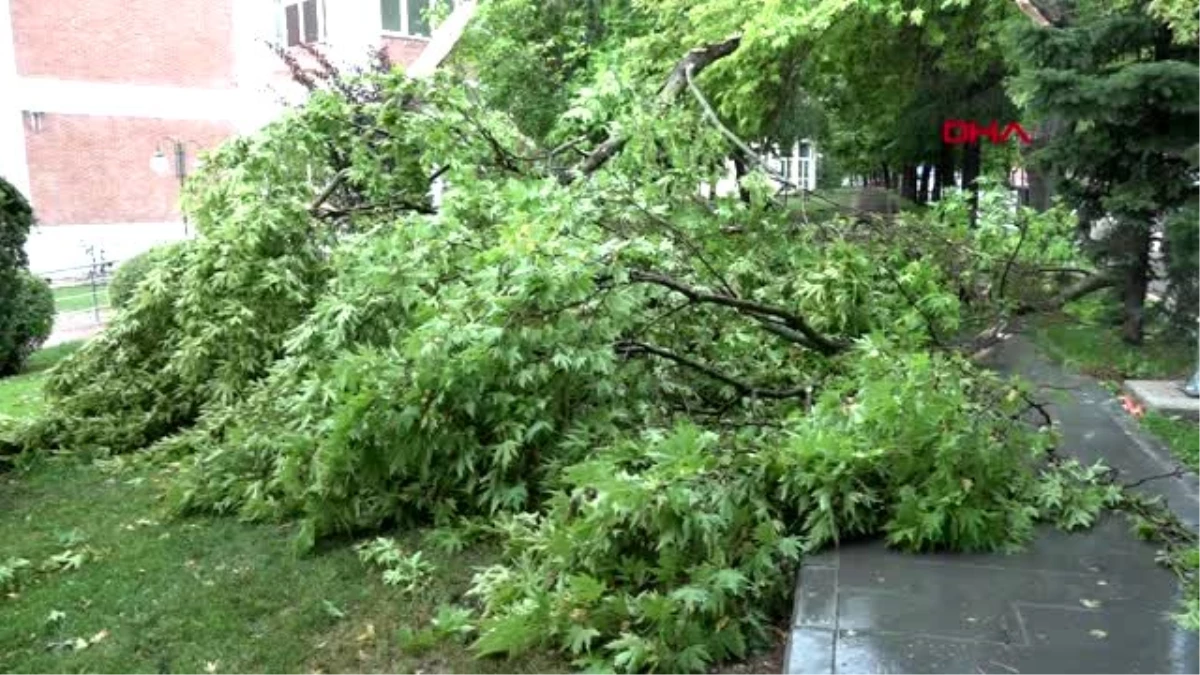 Eskişehir\'de sağanak yağış ve rüzgar çatı uçurdu, ağaçları devirdi