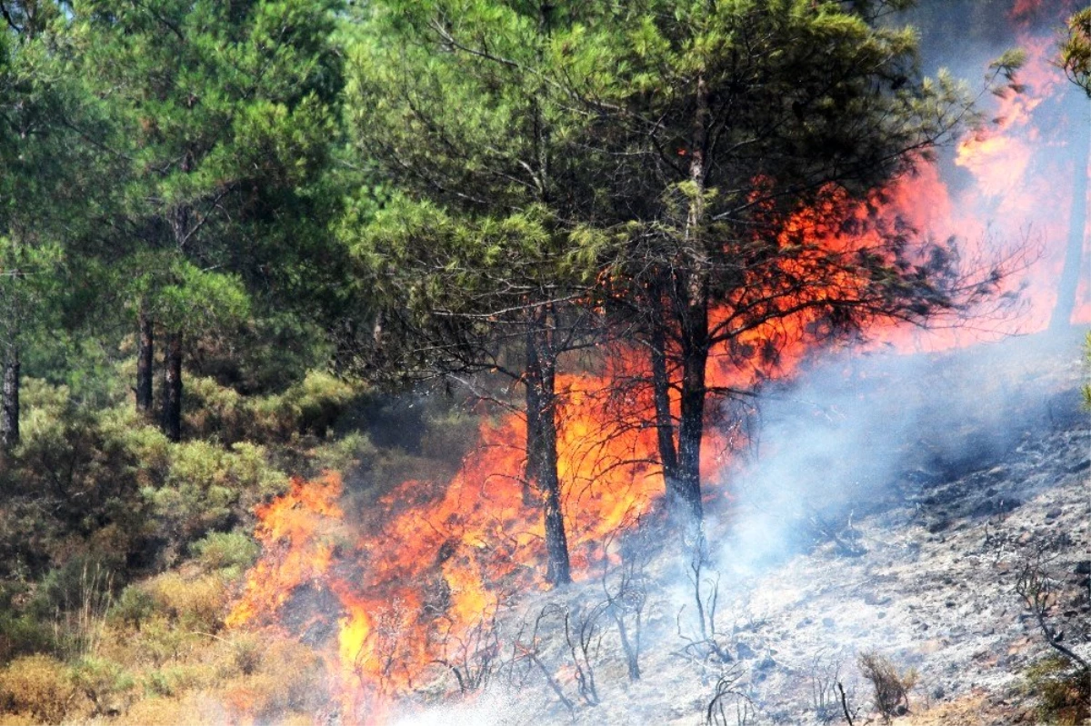 Fethiye\'deki orman yangını kontrol altına alındı