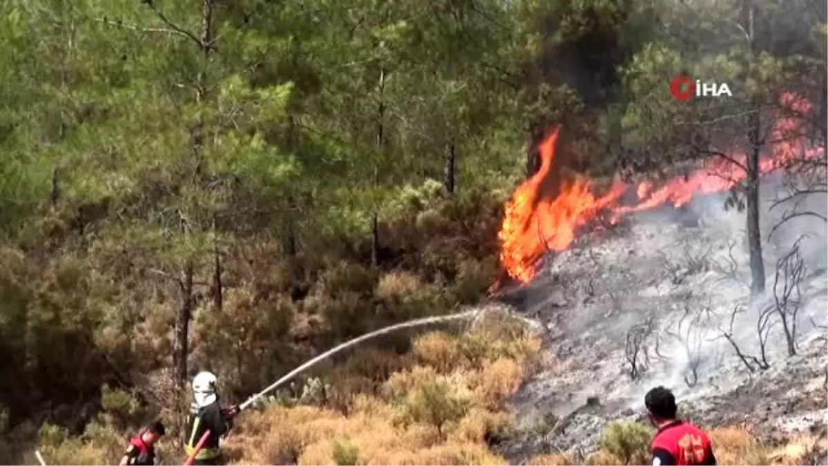 Fethiye\'deki orman yangını kontrol altına alındı