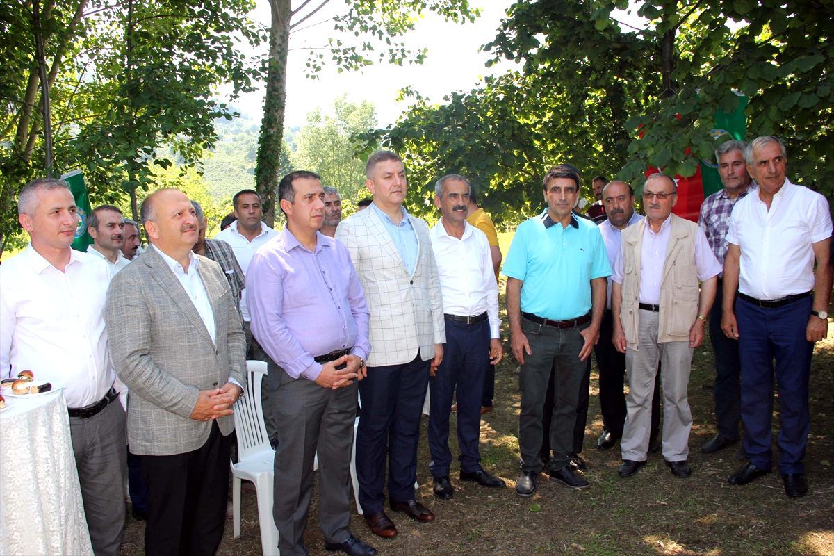Fındık bahçesinde bentonit başarısı