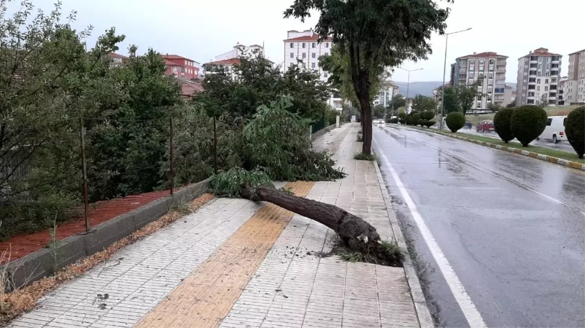 Fırtına bir kişinin ölümüne neden oldu