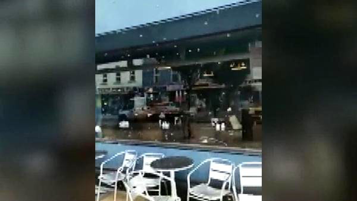 Kraliçelerini arayan arılar şehirde panik yarattı