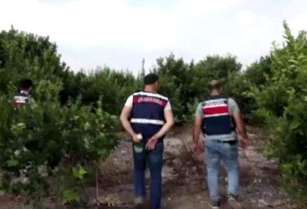 Mersin\'de uyuşturucu operasyonunda 3 tutuklama