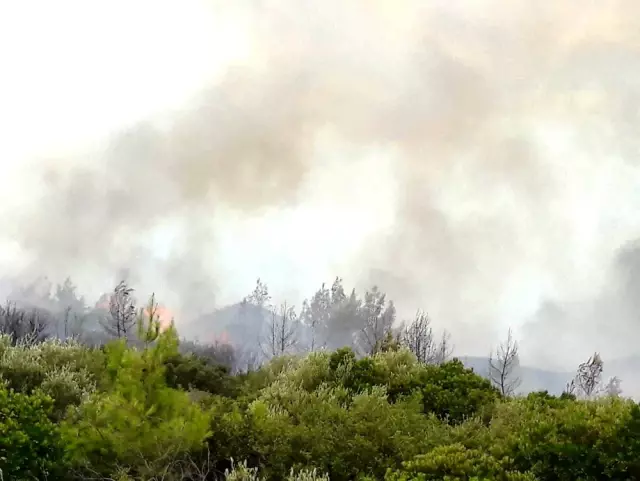 Muğla'daki ikinci yangın evlere ulaşamadan söndürüldü ...