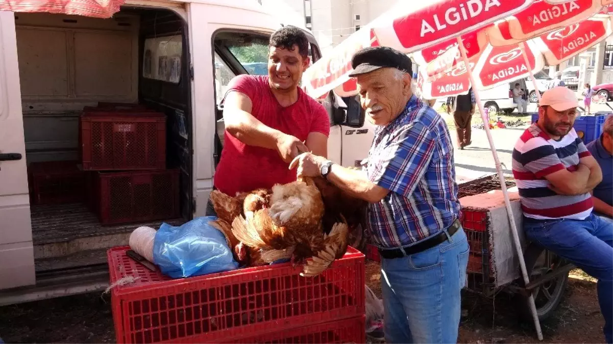 (Özel) Uşak\'ta canlı tavuk ve kanatlı hayvan pazarı yoğun ilgi görüyor