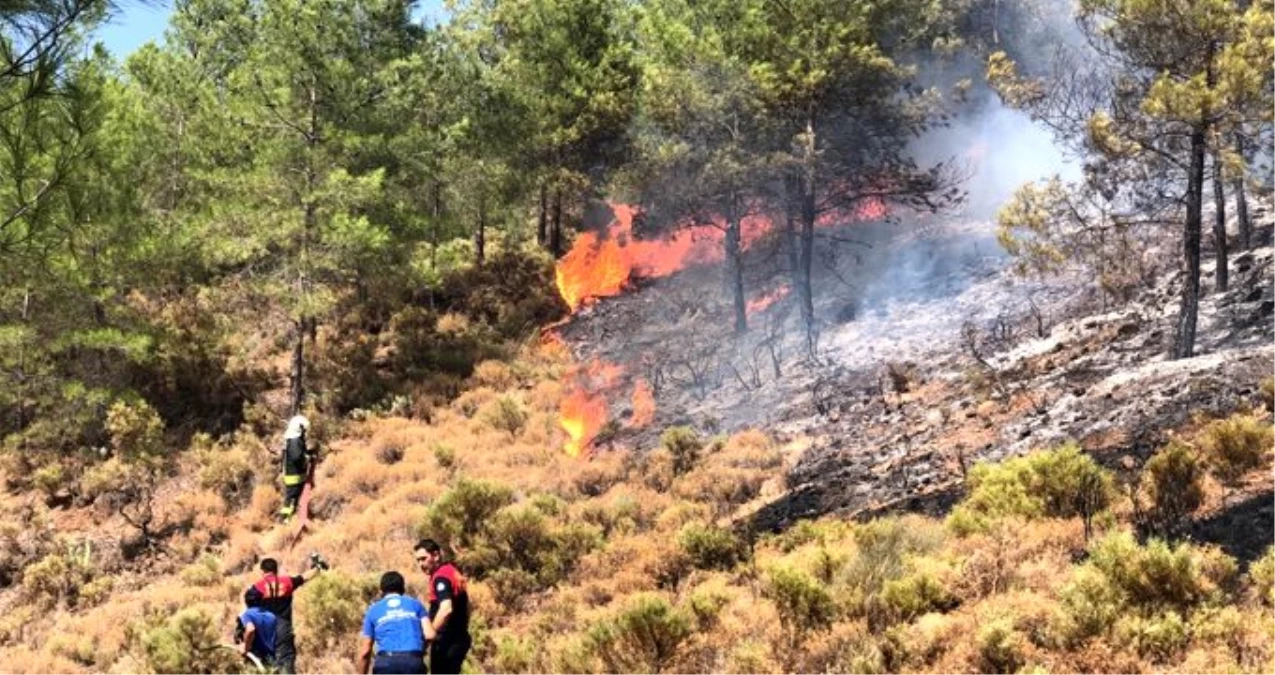 Fethiye\'de ormanlık alanda yangın çıktı
