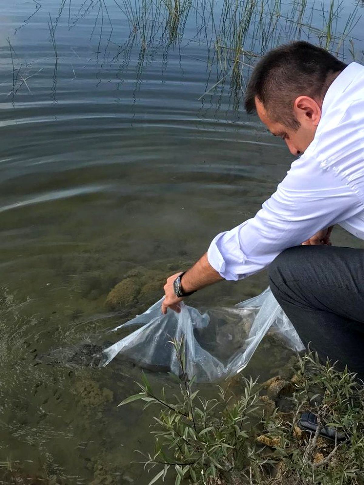 Terzi Göletine 4 bin sazan yavrusu bırakıldı
