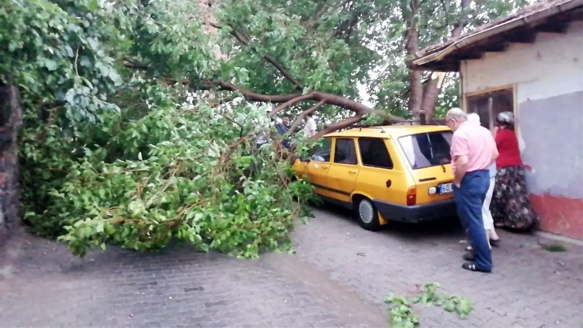 Tokat\'ta fırtına çatıları uçurdu, ağaçları devirdi