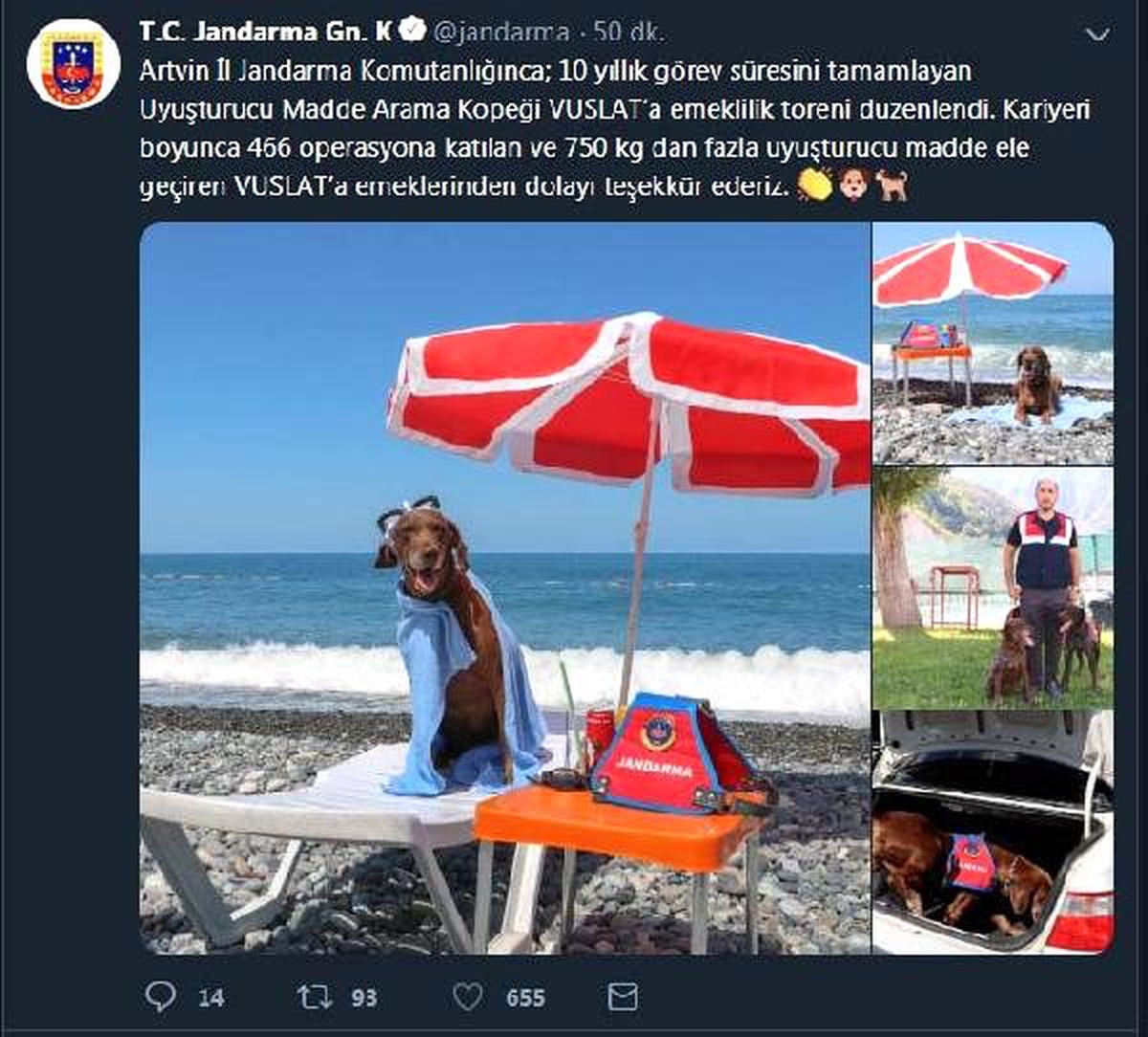 Uyuşturucu köpeği \'Vuslat\'a emeklilik töreni