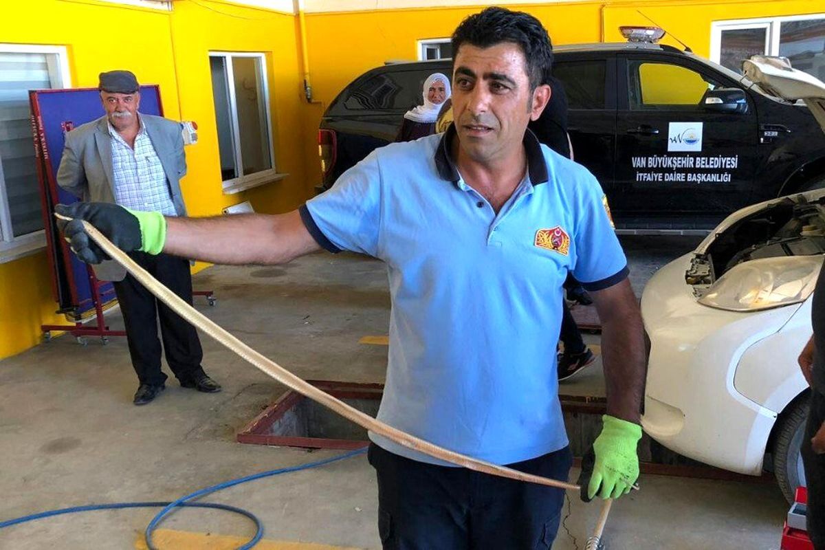 Araca giren yılan korkuttu